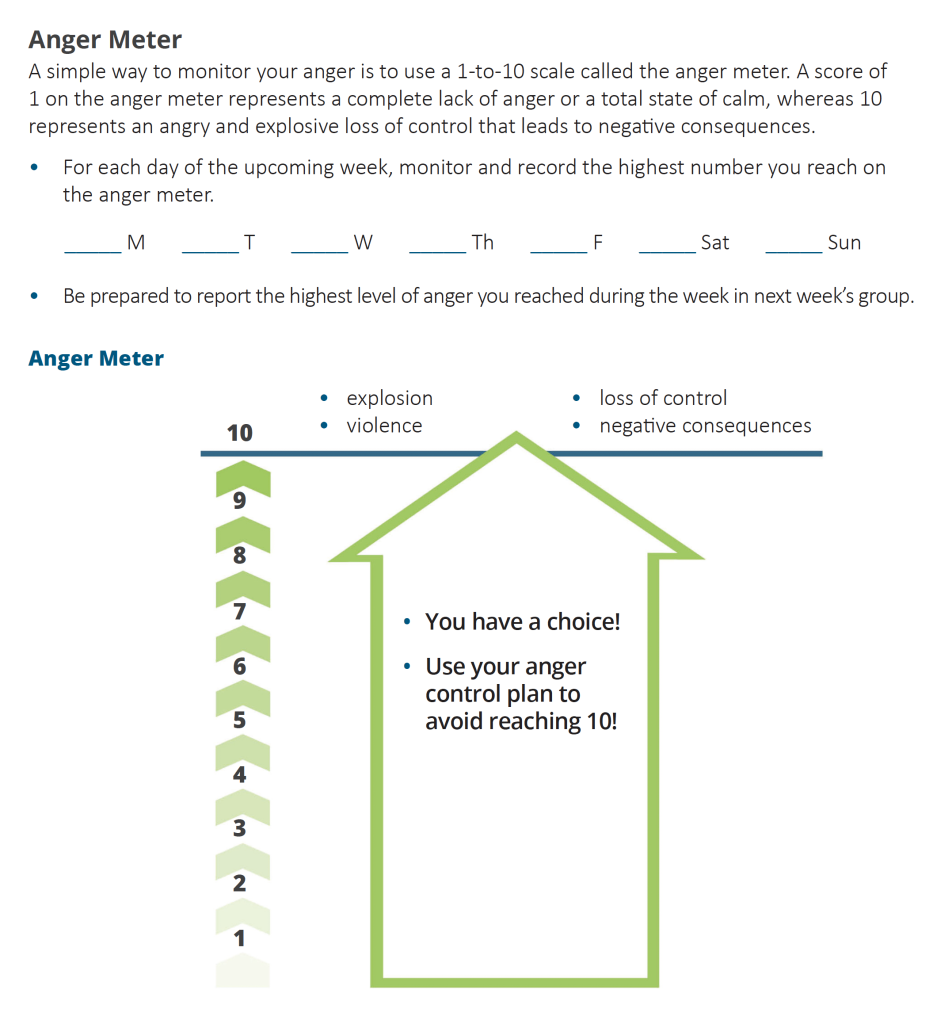 The Anger Meter